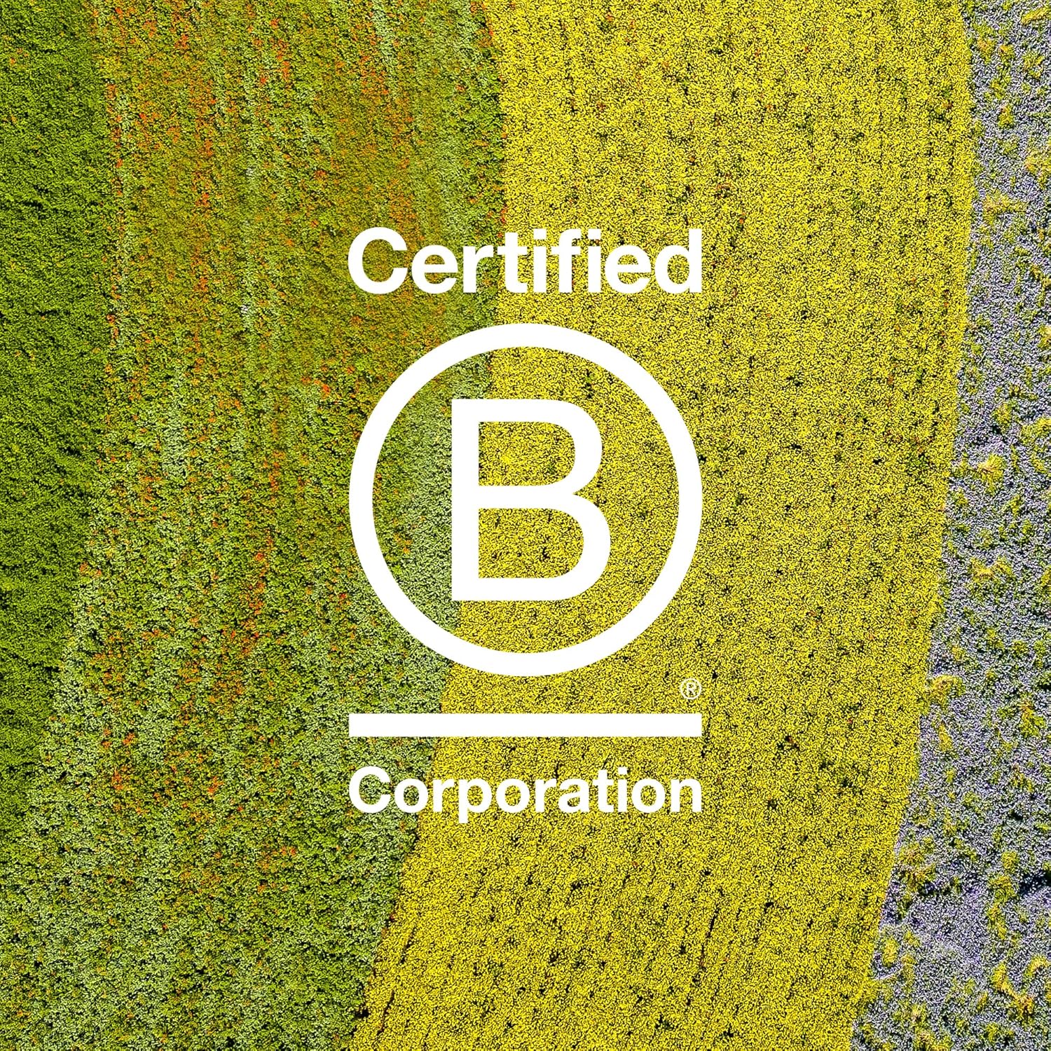 Davines OI All in One Milk 50 ml (Pack of 1) - Image 9